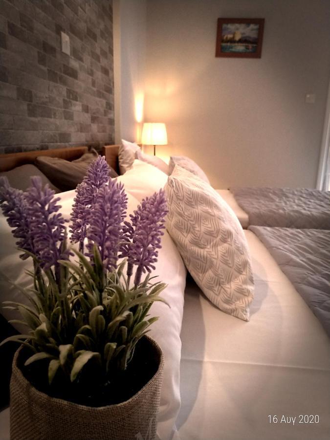 Adonis Apartments Paralia Katerinis Bagian luar foto